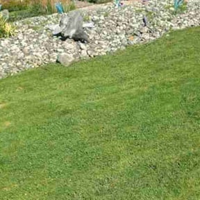 Flower Bed Weeding by K's Lawn Care reviewed on April 5, 2025