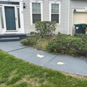 Bush Trimming by Cut n up lawn care services reviewed on June 1, 2022