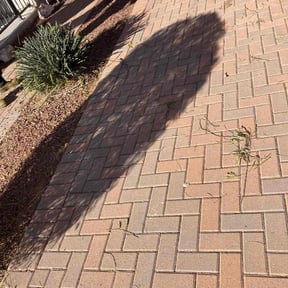 Bush Trimming by maintenance and landscaping reviewed on May 23, 2025