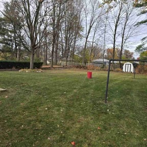 Leaf Removal by Walt's Lawn Care reviewed on October 11, 2024