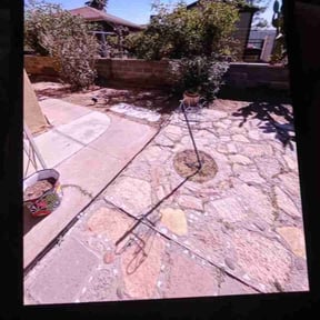 Bush Trimming by TruGreen LawnCare reviewed on September 13, 2024