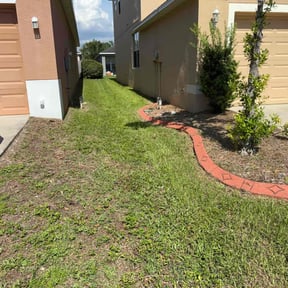 Bush Trimming by IDC Exotic Landscapes reviewed on June 30, 2022
