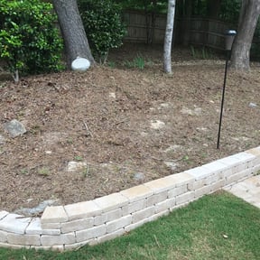 Cleanups by SB ELITE LAWN CARE SERVICES LLC reviewed on June 21, 2025