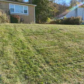 Flower Bed Weeding by Okie Lawn and Landscape reviewed on June 16, 2022