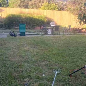 Bush Trimming by Shortys handyman lawn and snow removal reviewed on May 9, 2022