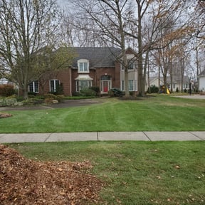 Leaf Removal by Krispy Kutz Landscaping & More reviewed on August 4, 2024