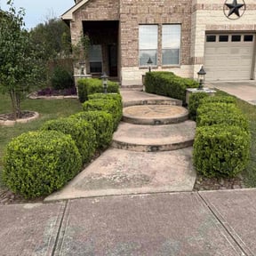 Bush Trimming by pnp concrete reviewed on November 20, 2022
