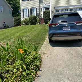 Bush Trimming by Jose Perez Landscaping reviewed on July 7, 2022