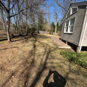 Cleanups by DWB Lawn Care Services reviewed on December 26, 2021