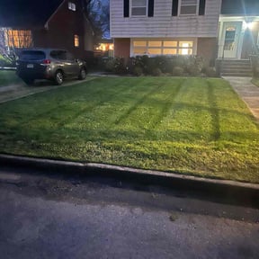 Leaf Removal by Js Lawn Care reviewed on October 23, 2024