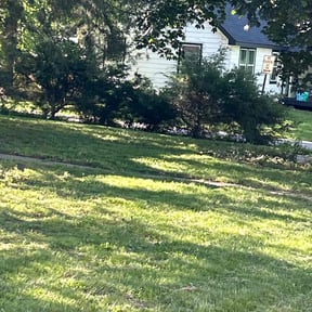 Bush Trimming by Precision Lawn Maintenance Services reviewed on July 8, 2022