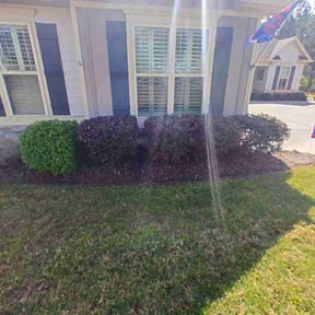 Bush Trimming by Mckinneys Lawn & Tree Care reviewed on September 22, 2020