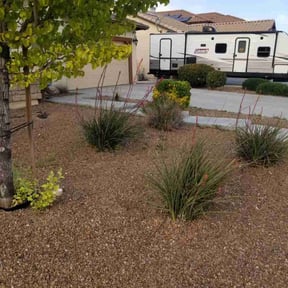 Bush Trimming by V&J landscaping reviewed on June 17, 2020