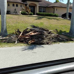 Leaf Removal by Felicianos Lawn Maintenance LLC reviewed on June 11, 2025