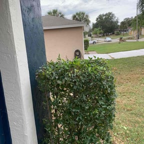 Bush Trimming by Lawn Junkies LLC reviewed on February 14, 2025