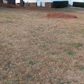 Leaf Removal by SRH Lawn and Shrubs reviewed on May 12, 2025