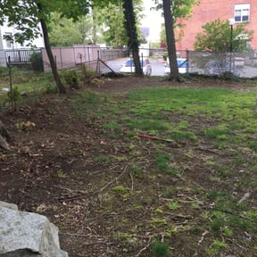 Leaf Removal by Cooper and pals reviewed on May 12, 2022