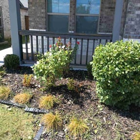Bush Trimming by Indytrendz reviewed on June 7, 2022