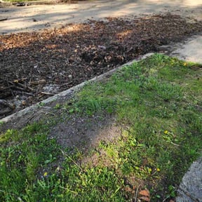 Cleanups by DMD LAWN SVC reviewed on June 30, 2022
