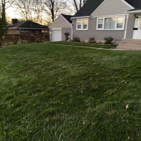 Leaf Removal by TLG LAWN SERVICE reviewed on June 11, 2020