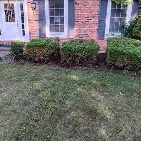 Bush Trimming by Value Lawn Care reviewed on April 15, 2025
