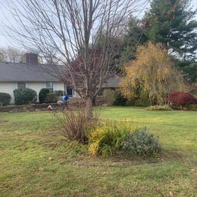 Leaf Removal by It'z Done Home improvement / Landscaping & Snow Removal reviewed on June 7, 2022