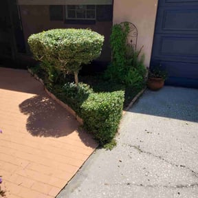 Bush Trimming by RTH Lawn Service &amp; Landscaping LLC reviewed on July 6, 2025