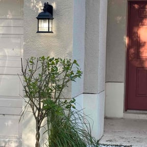 Bush Trimming by LSLTDallas/FortWorthTruGreen reviewed on August 8, 2024