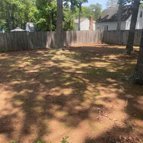 Leaf Removal by R&C Lawn Care and Clean reviewed on May 28, 2022
