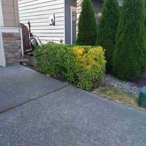 Bush Trimming by Grateful Green Lawn Care reviewed on August 4, 2020