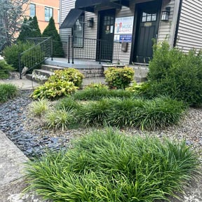 Flower Bed Weeding by Martins Lawn and Landscape LLC reviewed on April 11, 2025