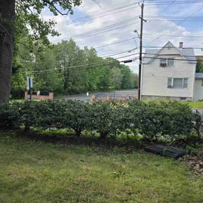 Bush Trimming by JR. landscaping services reviewed on August 5, 2022