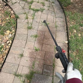 Flower Bed Weeding by Backbreakers LLC reviewed on May 8, 2025