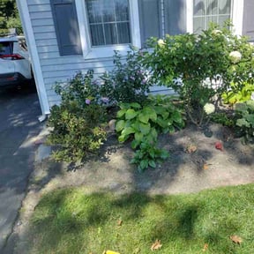 Flower Bed Weeding by Elias Landscaping reviewed on June 22, 2025