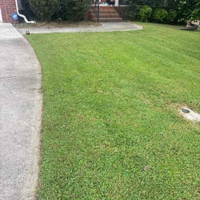 Bush Trimming by Royal Scenery LLC reviewed on November 29, 2022