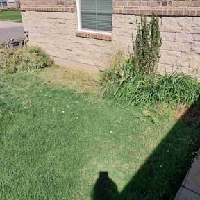 Flower Bed Weeding by Walker and Walker Ltd. Co reviewed on March 2, 2025