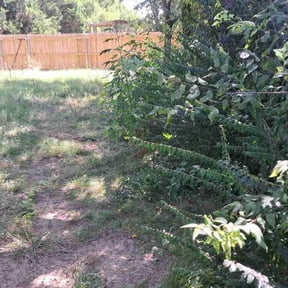 Weeding by Empire Lawn Care &amp; Tree Trimming reviewed on March 22, 2022