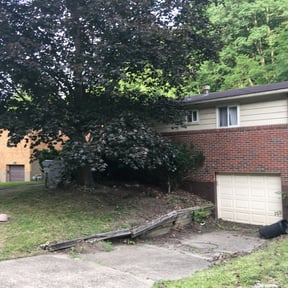 Bush Trimming by Lawns 4 Less reviewed on July 13, 2025
