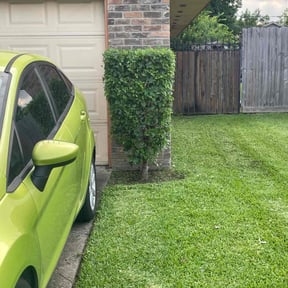 Bush Trimming by Fresh Cut Yard Workz reviewed on November 8, 2021