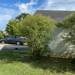 Bush Trimming by 3DM reviewed on October 21, 2022