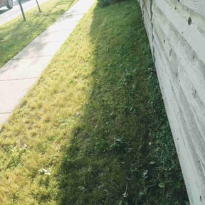 Flower Bed Weeding by Unlimited Lawn & Maintenance Services reviewed on June 9, 2022