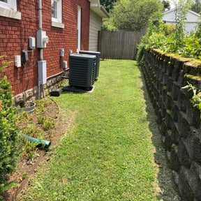 Cleanups by Lawn and Labor Services reviewed on August 1, 2022