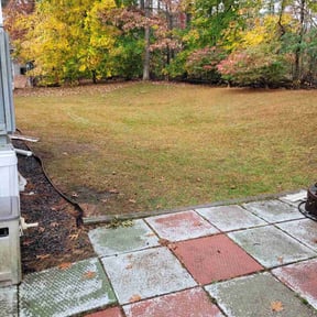 Leaf Removal by Nyla’s landscaping and home improvement company reviewed on April 24, 2022