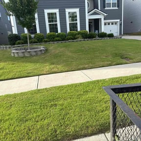 Bush Trimming by Cutting up Lawn and Tree Care reviewed on October 14, 2022