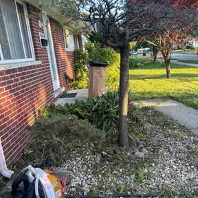 Bush Trimming by Sweat & Soil reviewed on December 2, 2024