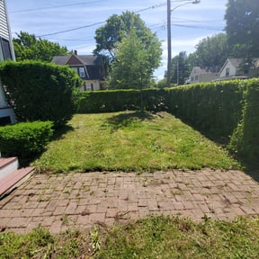 Cleanups by Morgan Henry Lawn Care reviewed on November 8, 2021