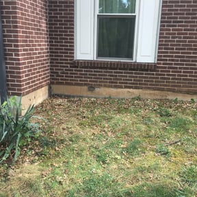Leaf Removal by Clinton's lawn service llc reviewed on June 19, 2020