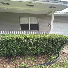 Bush Trimming by EV Great Valley Landscaping,LLC. reviewed on July 15, 2022