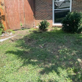 Leaf Removal by Cardos Services LLC reviewed on June 28, 2022