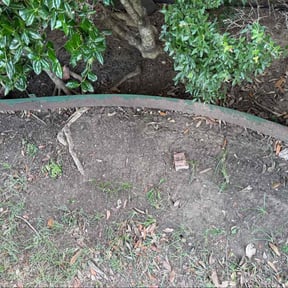 Leaf Removal by LSLTDallas/FortWorthTruGreen reviewed on July 19, 2023